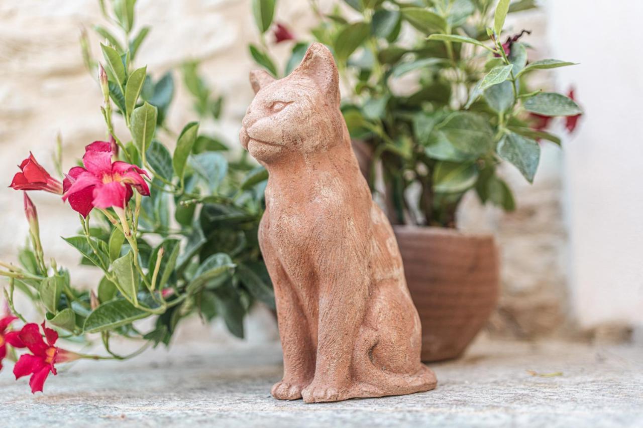 Golferenzo Borgo Dei Gatti Albergo Diffuso & Spa מראה חיצוני תמונה