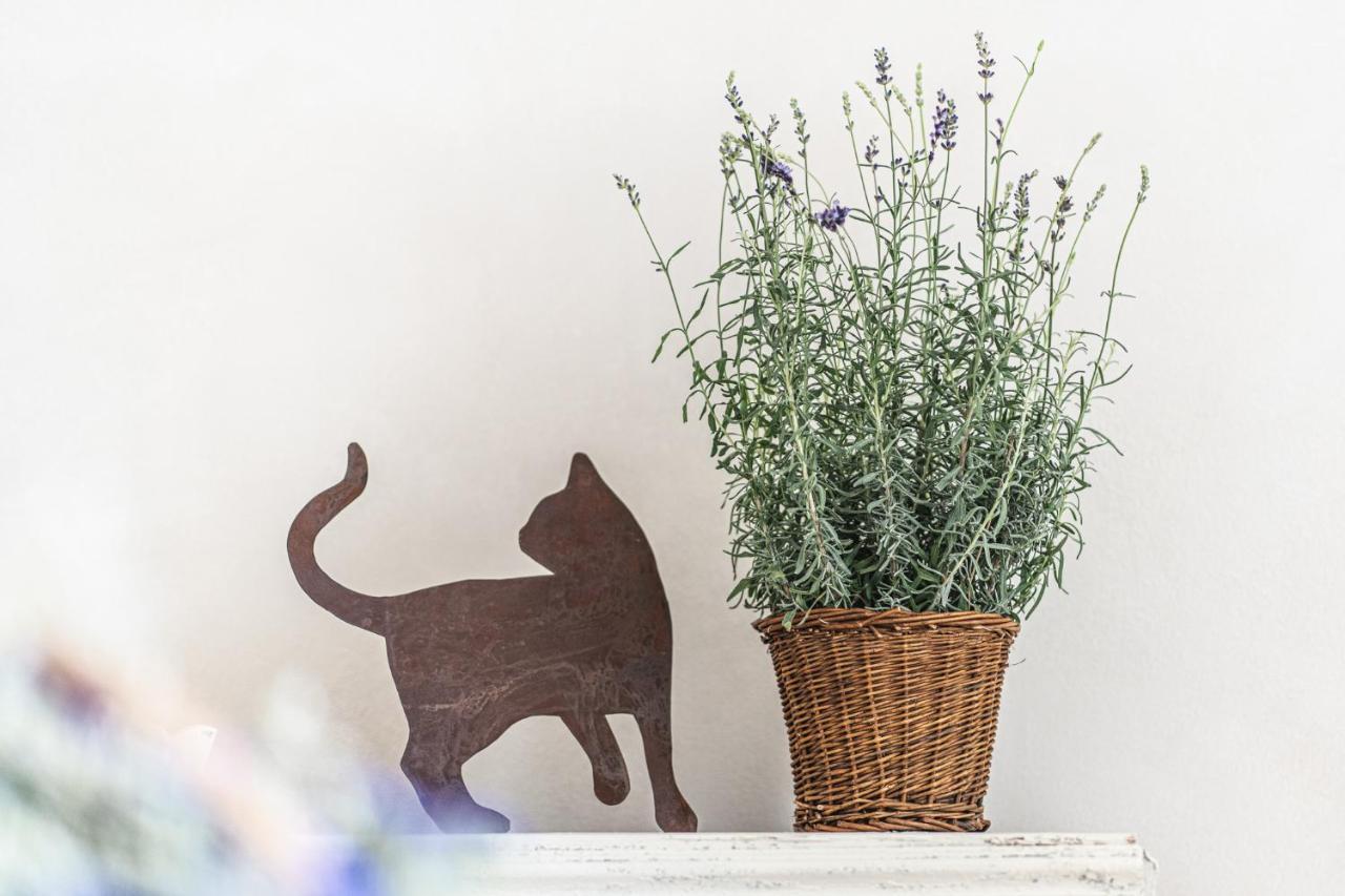 Golferenzo Borgo Dei Gatti Albergo Diffuso & Spa מראה חיצוני תמונה